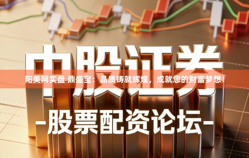 阳美网实盘 鼎盛宝：品质铸就辉煌，成就您的财富梦想！