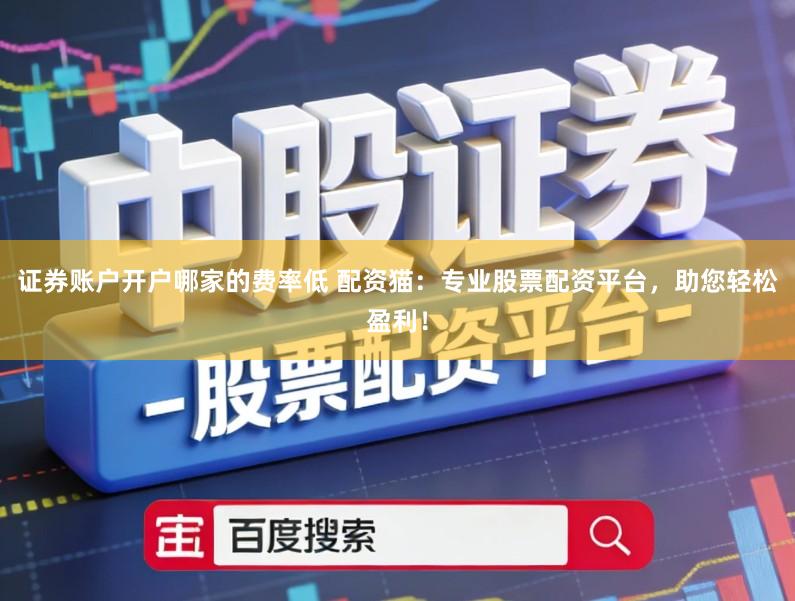 证券账户开户哪家的费率低 配资猫：专业股票配资平台，助您轻松盈利！