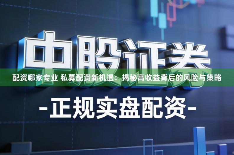 配资哪家专业 私募配资新机遇：揭秘高收益背后的风险与策略