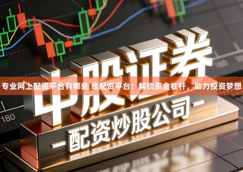 专业网上配资平台有哪些 线配资平台：解锁资金杠杆，助力投资梦想