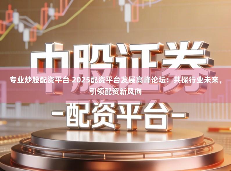 专业炒股配资平台 2025配资平台发展高峰论坛：共探行业未来，引领配资新风向