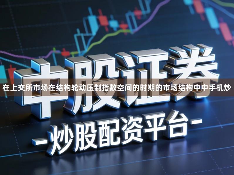在上交所市场在结构轮动压制指数空间的时期的市场结构中中手机炒